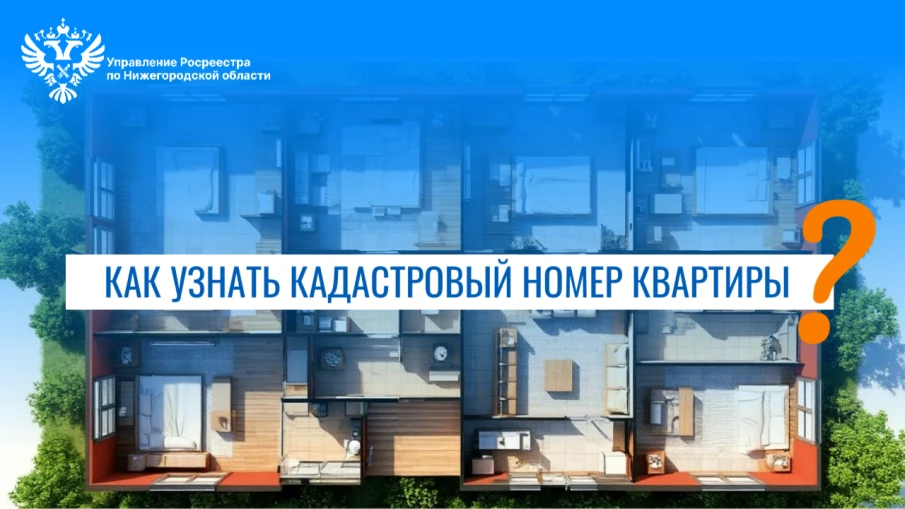 Нижегородский Росреестр разъясняет: как быстро и официально узнать кадастровый номер квартиры